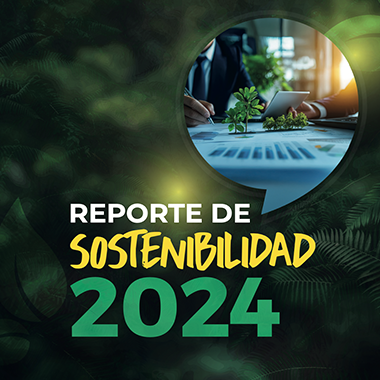 Reporte 2024